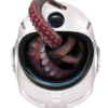 MissionMars (MMARS) MissionMars (MMARS)