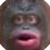 Monkecoin (MONKE) Monkecoin (MONKE)