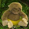 Monkey Cat (MONCAT)