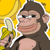 MONKEY (MONKEY) MONKEY (MONKEY)