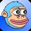 Monky ($MONKY)