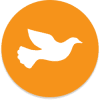 Moonbird (MBIRD) Moonbird (MBIRD)