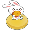 MoonRabbit (MRK) MoonRabbit (MRK)