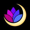 Moonwell Apollo (MFAM) Moonwell Apollo (MFAM)