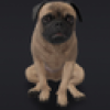Mudpug (MUDPUG)