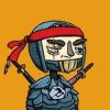 Ninja Squad (NST) Ninja Squad (NST)