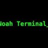 Noah Terminal (NOAHAI)