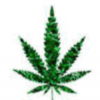 Non-Fungible TOKE (TOKE) Non-Fungible TOKE (TOKE)