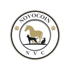 NOVOCOIN (NVC)