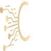 NowCoin (NWCN) NowCoin (NWCN)