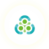NSS Coin (NSS) NSS Coin (NSS)