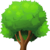 Octree (OCT) Octree (OCT)