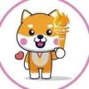 Olympic Doge (OLYMPIC DOGE) Olympic Doge (OLYMPIC DOGE)