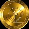 Payment Coin (POD) Payment Coin (POD)