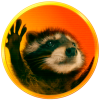 Pedro the Raccoon (PEDRO)
