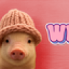 pig wif hat (pigwif) pig wif hat (pigwif)