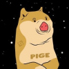 pige-inu-pinu-coin-logo.png