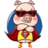 PIGX (PIGX) PIGX (PIGX)