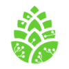 Pinecoin (PINE) Pinecoin (PINE)