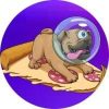 Pizza Pug Coin (PPUG) Pizza Pug Coin (PPUG)