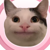 Polite Cat (POCAT)