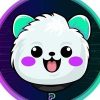 Pomeranian Boo (POMBOO) Pomeranian Boo (POMBOO)