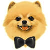Pomi (POMI) Pomi (POMI)