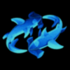 Poolshark (FIN) Poolshark (FIN)