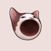 Popcat (POPCAT) Popcat (POPCAT)