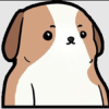 Pudgy Pups Club (PUPS) Pudgy Pups Club (PUPS)