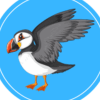 Puffin Global (PUFFIN) Puffin Global (PUFFIN)