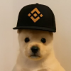 PUP (pupxbnb.com) (PUP) PUP (pupxbnb.com) (PUP)
