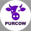 PurCow: Exchange from China