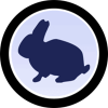 RabbitCoin (RBBT) RabbitCoin (RBBT)