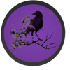 Raven (RAVEN)