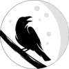 RavenMoon (RVM) RavenMoon (RVM)