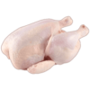 Raw Chicken Experiment (RCE) Raw Chicken Experiment (RCE)