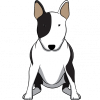 SafeButt (SAFEBUTT) SafeButt (SAFEBUTT)