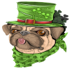 Saintpatrick (SPT) Saintpatrick (SPT)