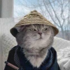 Samurai Cat (YUKI)