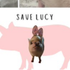 #savelucy (LUCY)