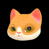 Schrodinger (KITTY DINGER) Schrodinger (KITTY DINGER)