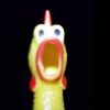 Screaming Rubber Chicken (SRC)