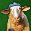 Sheep Wif Hat (SWIF) Sheep Wif Hat (SWIF)