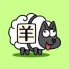 SheepAsheep (YLGY) SheepAsheep (YLGY)