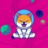 Shiba Cosmos (SHIBCO) Shiba Cosmos (SHIBCO)
