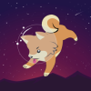 Shibanaut Token (SHIBANAUT) Shibanaut Token (SHIBANAUT)
