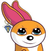 Shibeth (SHIBETH) Shibeth (SHIBETH)