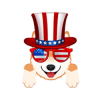 Shibmerican (SHIBMERICAN) Shibmerican (SHIBMERICAN)
