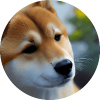 Shibonsu Inu (SHIBONSU) Shibonsu Inu (SHIBONSU)
